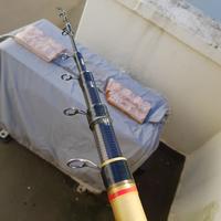 Canna bolognese Triana 7m