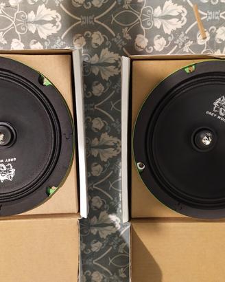 altoparlanti medio/alti