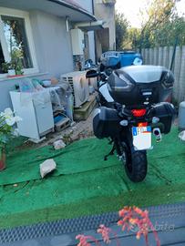 Suzuki V Strom DL 650 - 2023