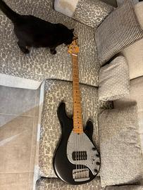 Ernie ball Stingray 5