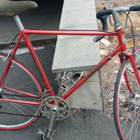 bicicletta d'epoca campagnolo 