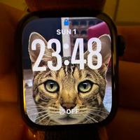 Apple Watch Serie 7 41mm Midnight