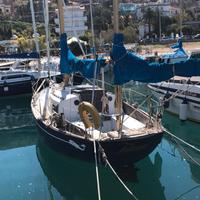 Clipper 31