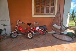 mini califfo/mini bike