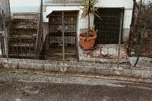 Casa + Locale commerciale