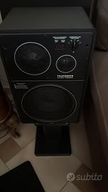 Diffusori Telefunken TLX 22/4 monitor
