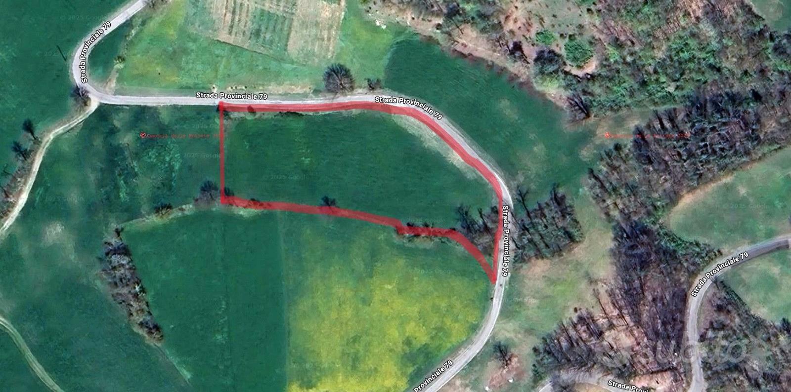 Terreno agricolo pianeggiante e piccolo bosco - Altro