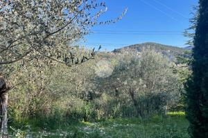 TER. RESIDENZIALE A TERNI