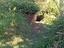 Immagine 3