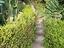 Immagine 16
