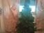 Immagine 1