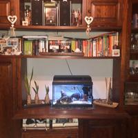 parete attrezzata/mobile tv arte povera