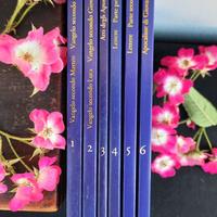 Nuovo  testamento - collana in sei Libri