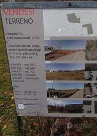 Terreno edificabile con casolare - Cercemaggiore