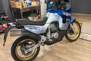Honda Transalp 600 - ASI