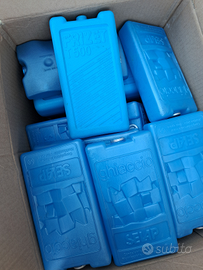 Porta ghiaccio per mare