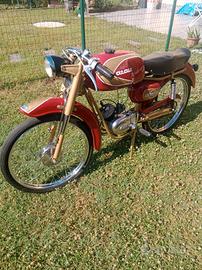 ciclomotore sportivo 