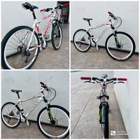 MTB OLYMPIA 26