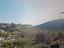 Immagine 19