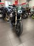 benelli-leoncino-800-trial