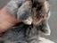 Immagine 4