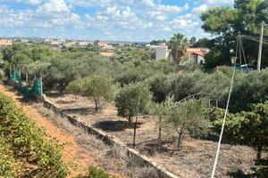 Vendita terreno con abitazione
