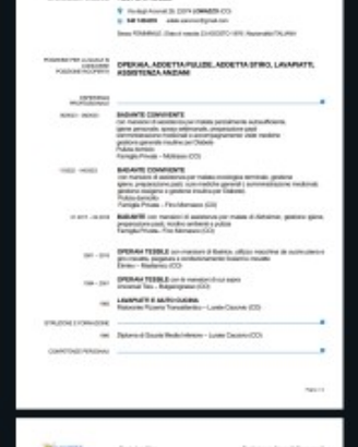 Badante- colf -operaia -