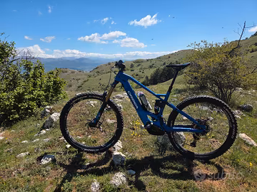 orbea wild fs team 