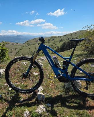 orbea wild fs team 