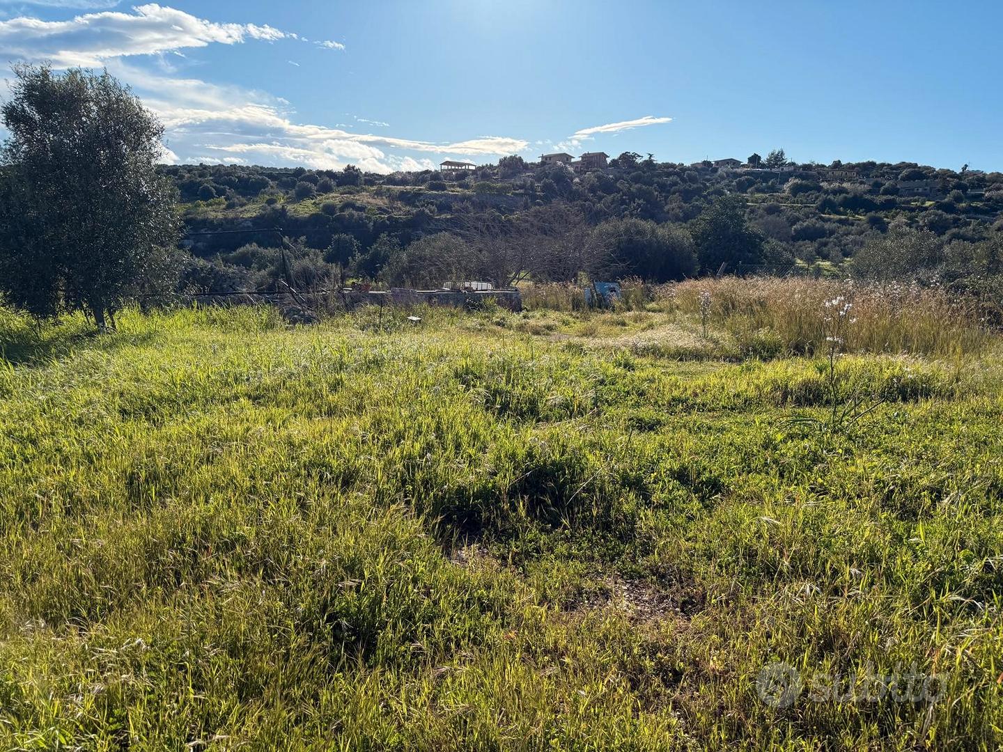 Terreno agricolo con fabbricato rurale - Altro