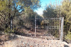 Terreno agricolo uliveto San Teodoro