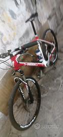 MTB specialized s works in carbonio 