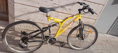 bicicletta 