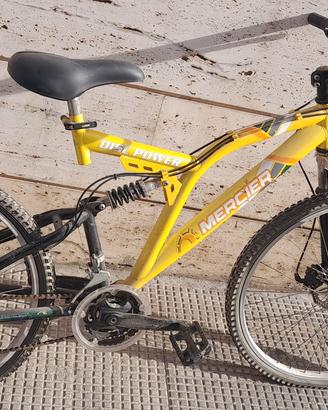 bicicletta 