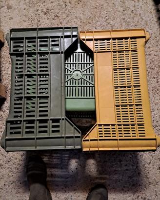 Cassette per olive