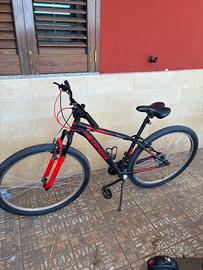 Mountain bike 29”