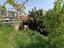 Immagine 18