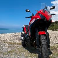 Xcape 650