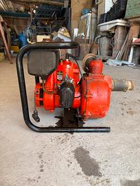 Moto pompa per irrigazione