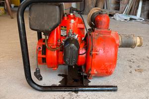 Moto pompa per irrigazione