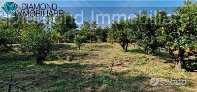 TERRENO AGRICOLO 3.500 mq A GIARRE