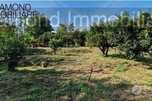 TERRENO AGRICOLO 3.500 mq A GIARRE