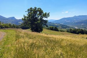 Terreni con ex fabbricato rurale - varsi