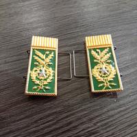 Gradi Corpo Forestale dello Stato Vice Ispettore