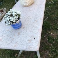 Tavolo da giardino