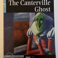 The Canterville Ghost - Black cat