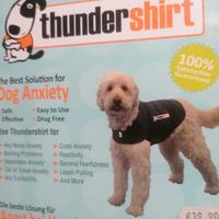 Thundershirt