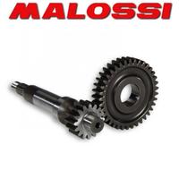 rapporti malossi piaggio