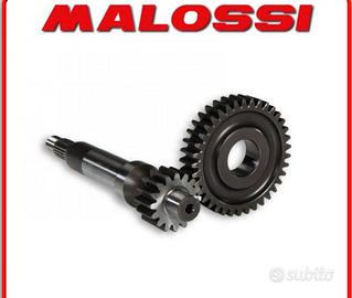 rapporti malossi piaggio