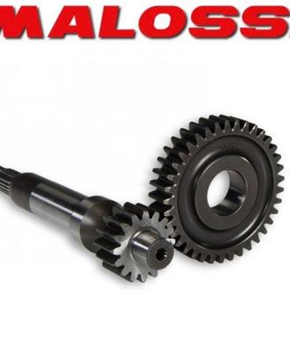 rapporti malossi piaggio